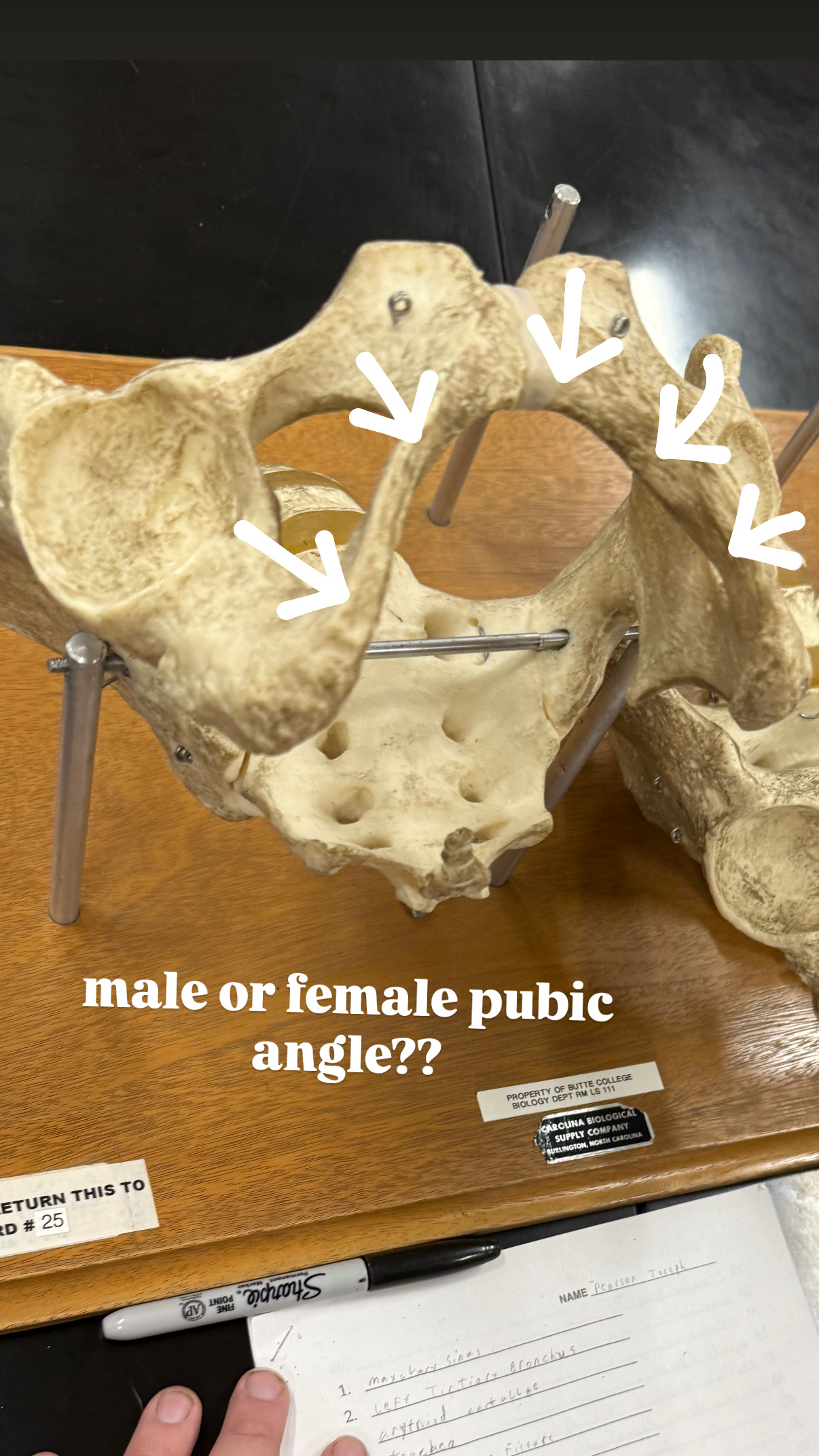 <p>look at the angle, decide if it is male or female</p>