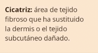<p>Cicatriz</p>