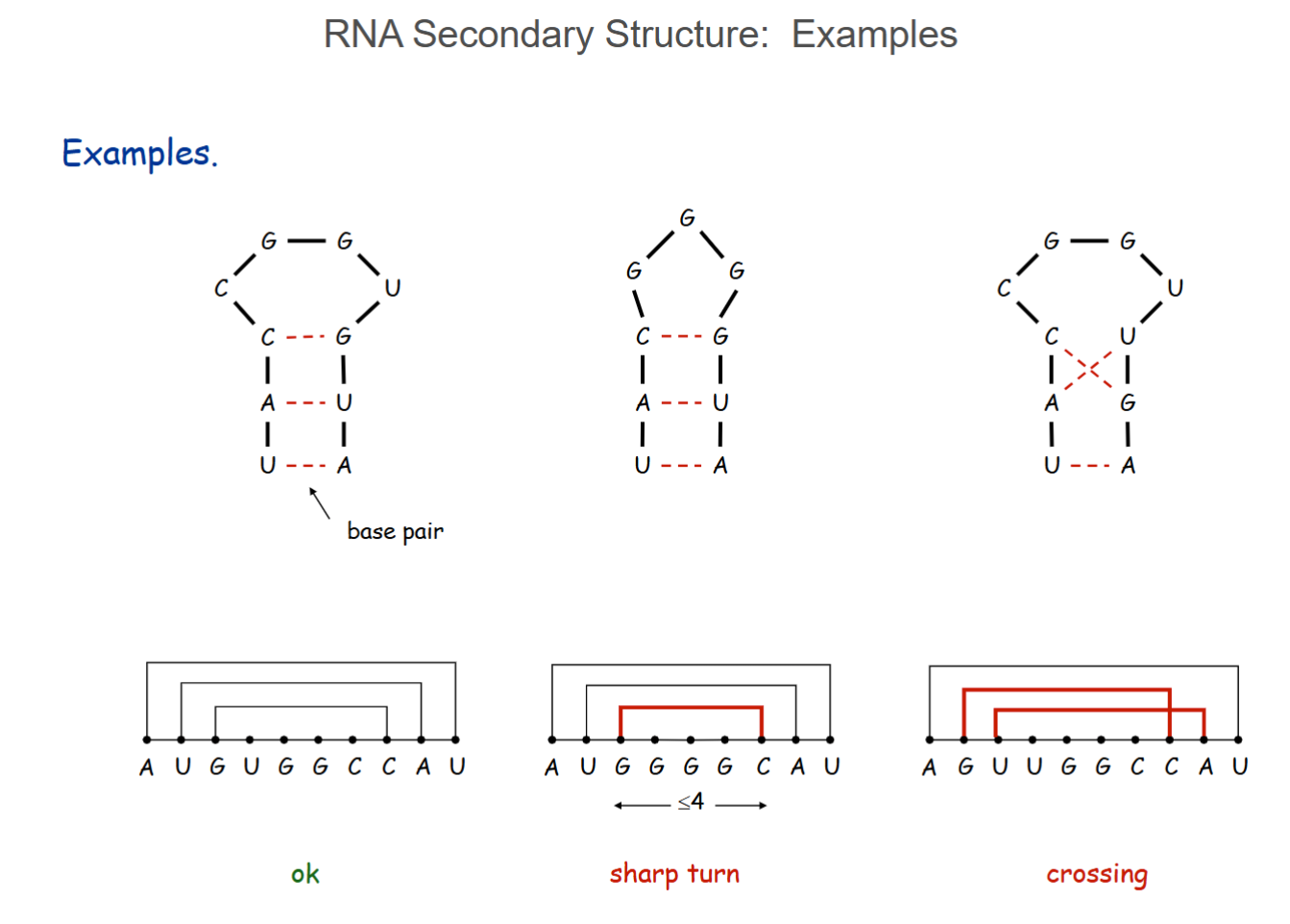 <p>RNA: String B = b1, b2, … bn over alphabet {A, C, G, U}</p><p>Secondary Structure = set of base pairs formed within the same RNA strand = S = { (bi, bj) }</p><ul><li><p>Watson-Crick pairing: A-U, U-A, C-G, G-C</p></li><li><p>No sharp turns: Paired bases must be separated by ≥ 4 bases → i < j - 4</p></li><li><p>Non-crossing: Pairs cannot cross → if (bi, bj) and (bk, bl) in S, then NOT i < k < j < l</p><ul><li><p>i < k : second pair starts after first pair starts</p></li><li><p>k < j : second pair starts before before first pair ends</p></li><li><p>j < l : first pair ends before the second pair ends</p></li></ul></li></ul><p>Free energy: RNA folds to minimze total free energy</p><p>Goal: Find S that maximizes the number of base pairs</p>