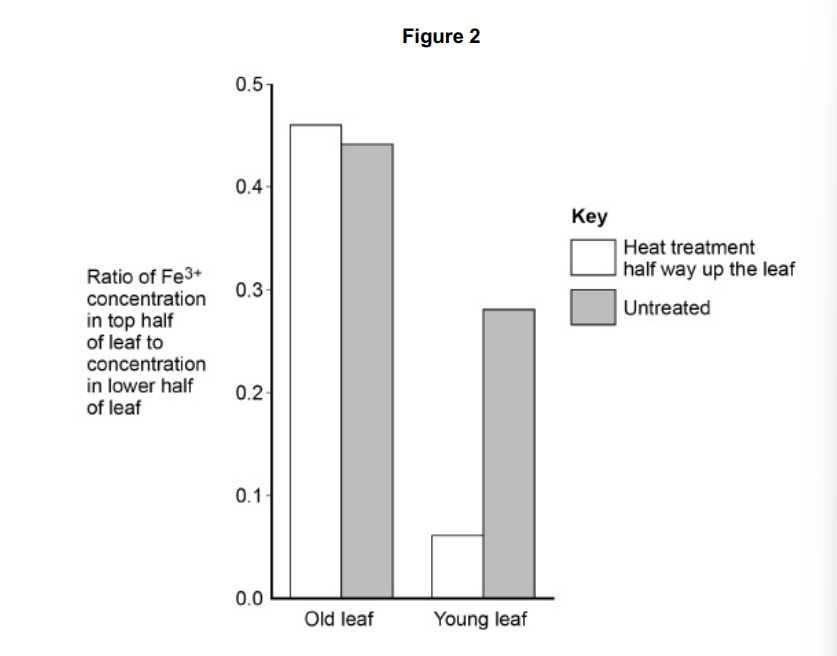 <p>The scientists then investigated the movement of iron ions (Fe<sup>3+</sup>) from the soil to old and young leaves of heat-treated barley plants and to leaves of plants that were not heat treated. Heat treatment was applied half way up the leaves. The scientists determined the concentration of Fe<sup>3+</sup> in the top and lower halves of the leaves of each plant. Their results are shown in Figure 2.</p><p>What can you conclude about the movement of Fe<sup>3+</sup> in barley plants? Use all the information provided. (4) </p>