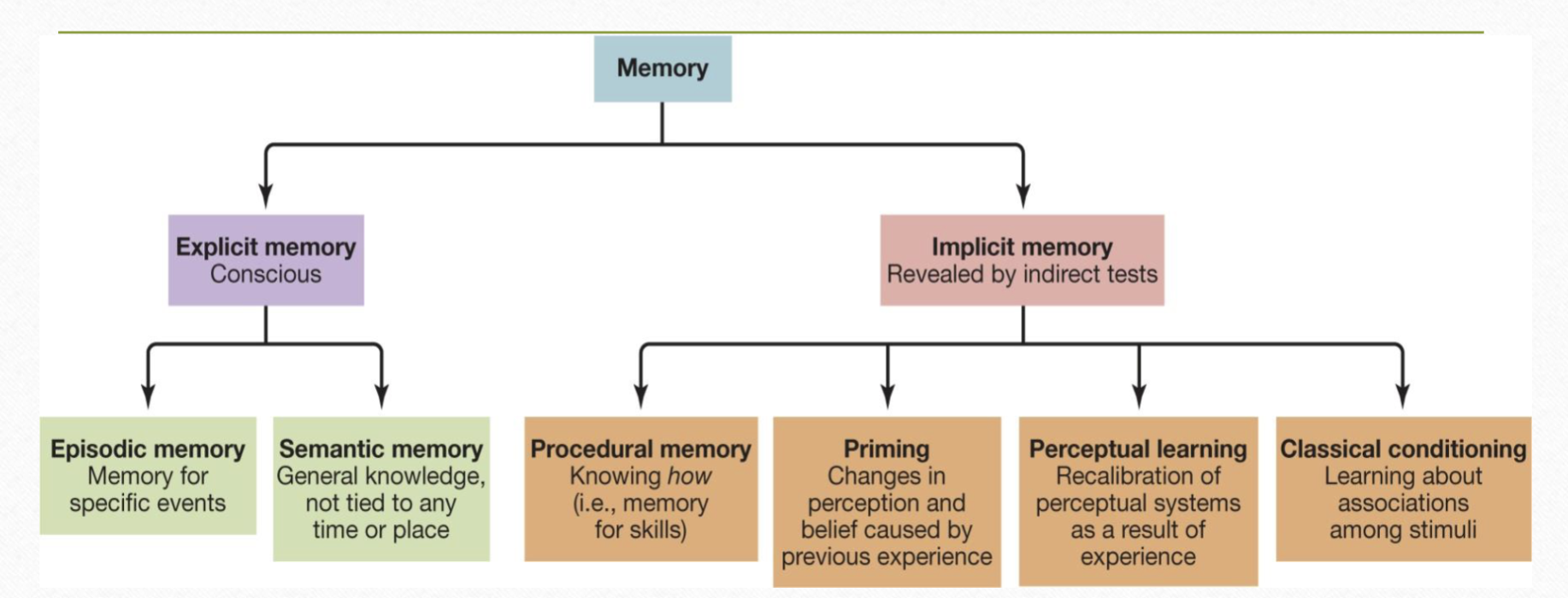 <p>long term memory</p>