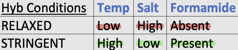 <ul><li><p>Under stringent conditions, only perfect complementary probes will hybridize to specific target</p></li><li><p>High stringency reduces non-specific hybridization</p></li></ul><p></p>