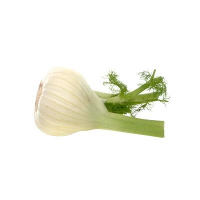 <p>Fenchel</p>