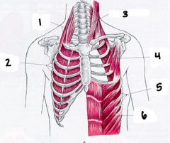 <p>6</p>