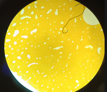 <p>What is this?</p>