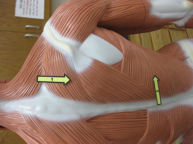 <p>What is at #1?</p>