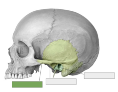 <p>This is the</p>