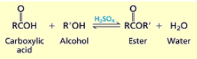 <p>Carboxylic acid + alcohol + H2SO4. (R group on alcohol replaces H on carboxylic acid) you yield water</p>
