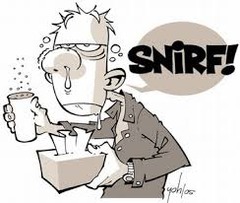 <p>to have a runny nose</p>