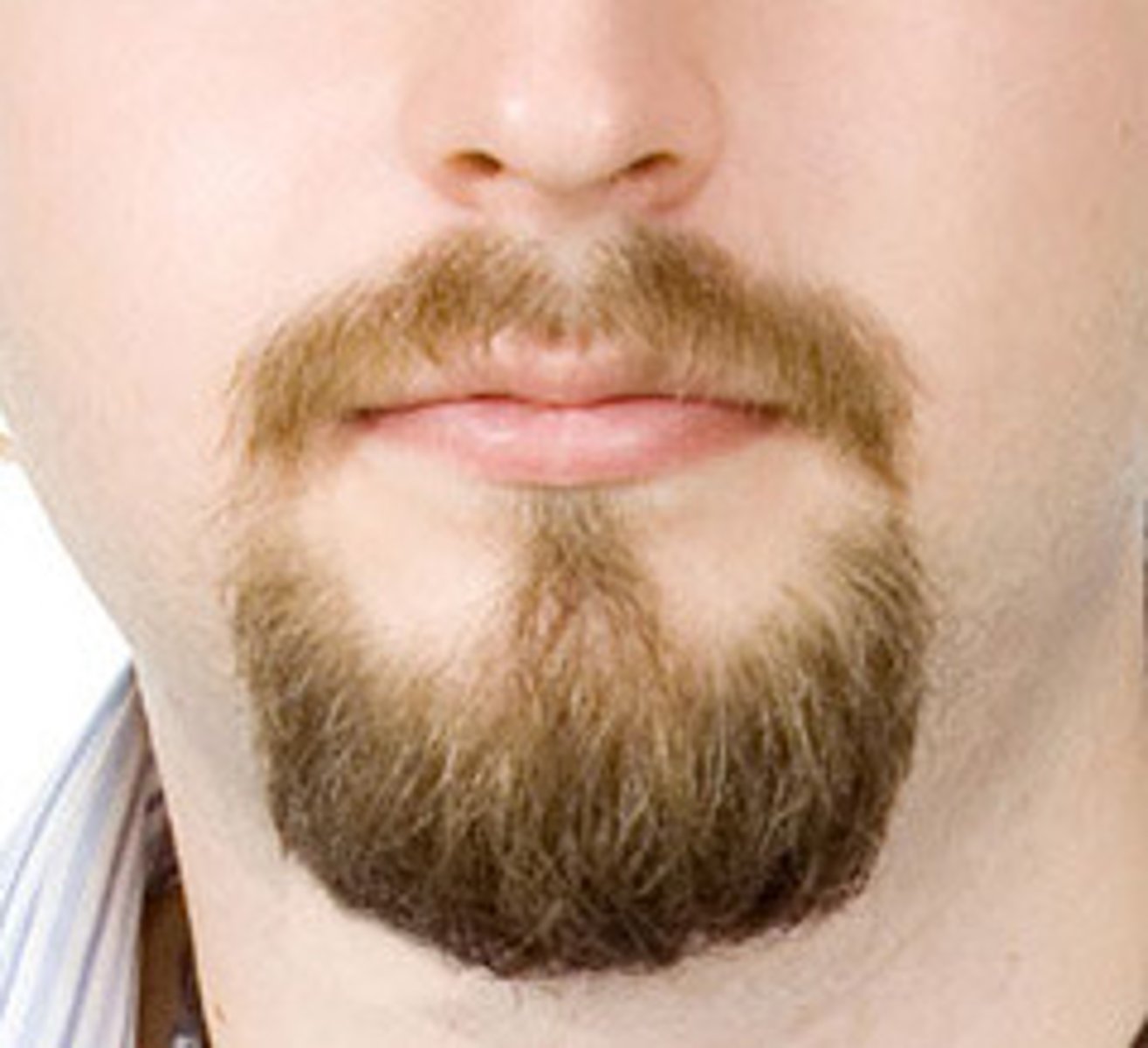 <p>the goatee</p>