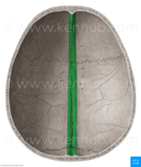 <p>identify the structure:</p>