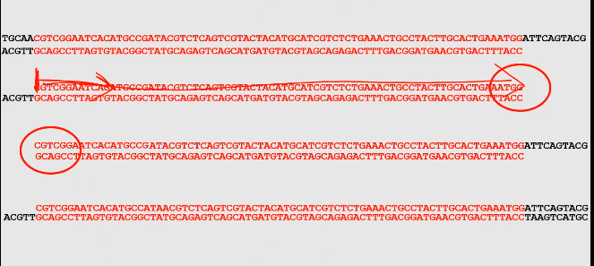 <p>It doesn’t, the way the target section of DNA gets multiplied is by the DNA primers switching sides of the DNA to start replicating on for each replication.</p><p>This means that after the 2nd replication, only the target section of DNA will be replicated.</p>