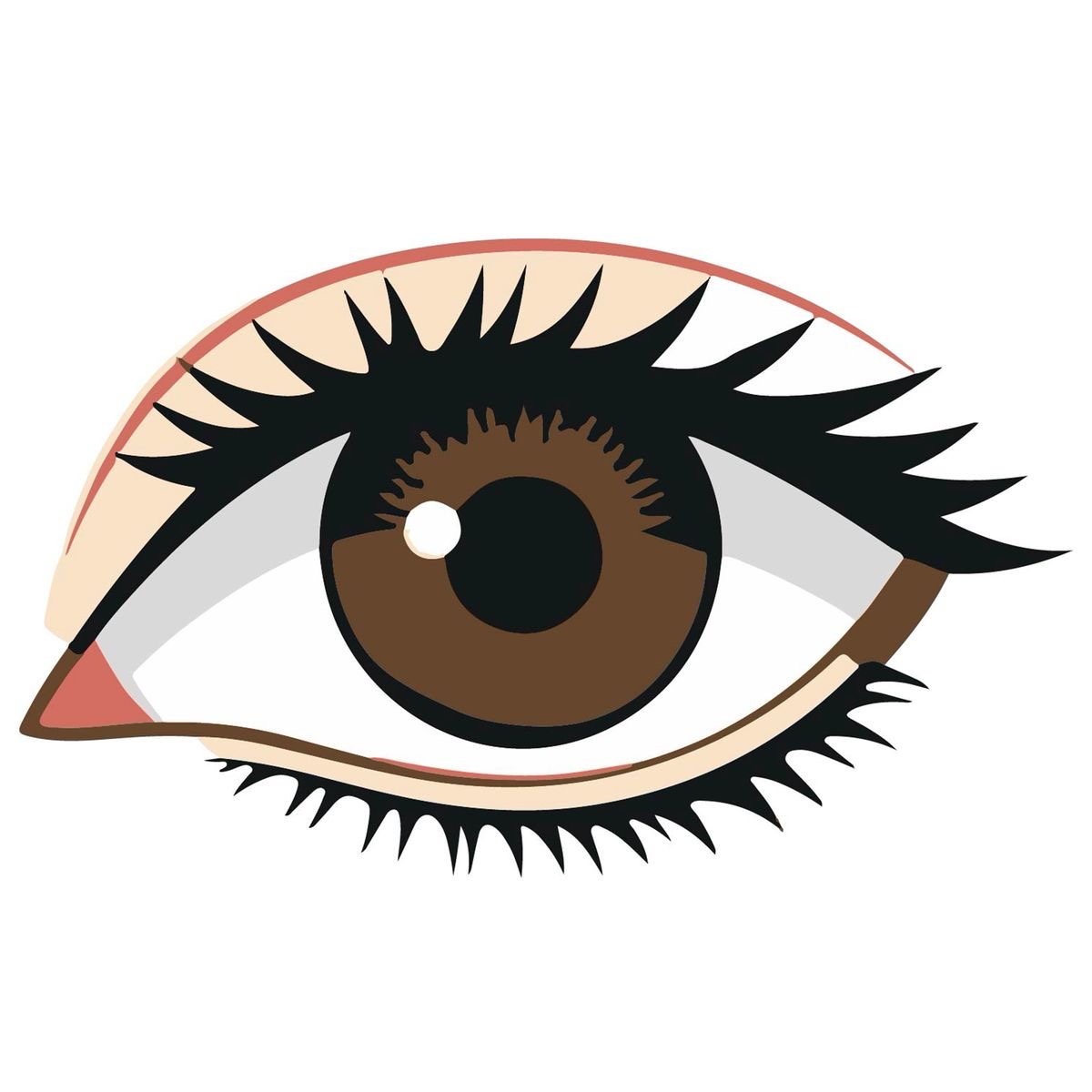 <p>el ojo</p>