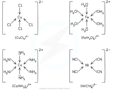 <p>what are monodentate ligands</p>