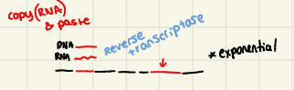 <p>copy &amp; paste </p><p>use reverse transcriptase </p><p>RNA → DNA </p>
