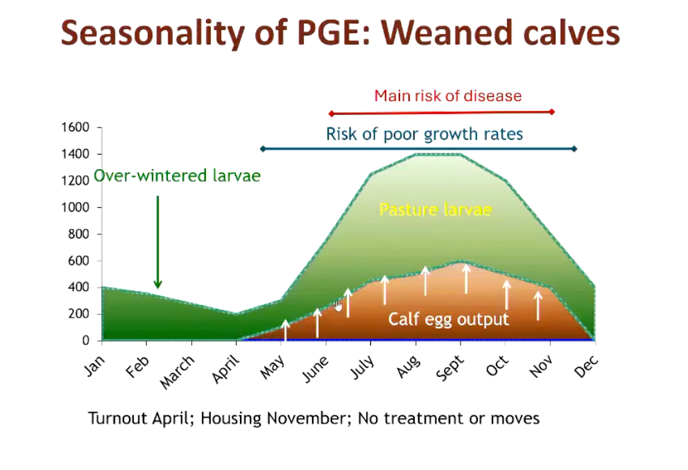 <p>Main risk of disease - July onwards</p><ul><li><p>May see weight loss around May</p></li></ul><p></p>