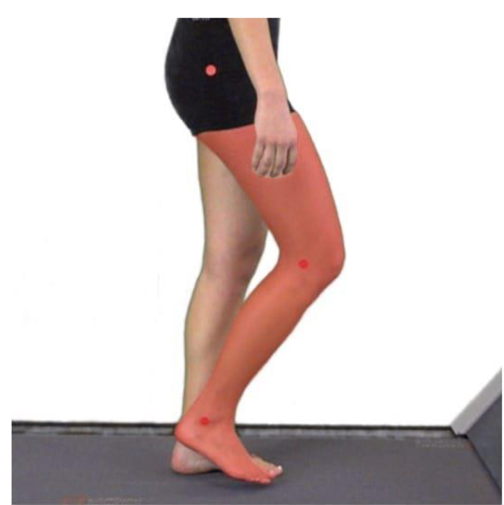 <p>begins with ipsilateral toe off and ends when the medial malleoli are aligned</p>