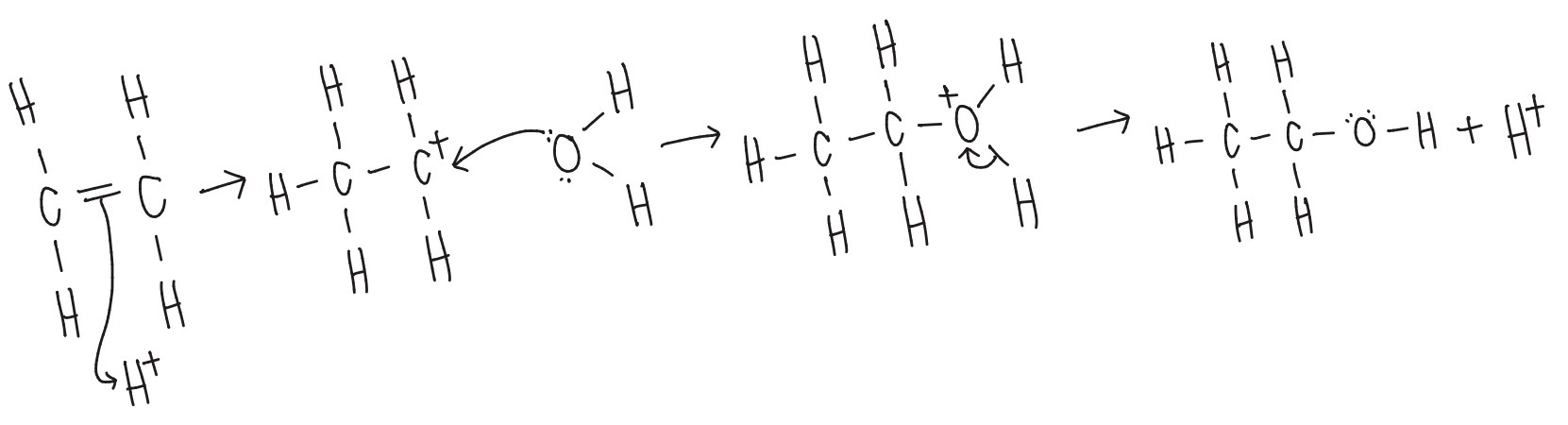 <ul><li><p><strong>Electrophilic addition (hydration)</strong></p></li><li><p><strong>Reagent:</strong> H<sub>2</sub>O </p></li><li><p><strong>Conditions:</strong> concentrated H<sub>2</sub>SO<sub>4</sub> catalyst & room temperature</p></li></ul><p></p>