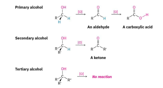 <p>a reaction that increases the number of bonds to oxygen or other electronegative atoms, or decreases the number of carbon-hydrogen (C-H) bonds</p><p>Oxidation usually means</p><ul><li><p>More C–O bonds</p></li><li><p>Fewer C–H bonds</p></li></ul><p>Alcohols become carbonyl compounds.</p><p>Products: Primary Alcohol to Aldehyde to Carboxylic Acid (if oxidation continues).</p><p>Secondary Alcohol = Ketone</p><p>Tertiary Alcohol usually <strong>No reaction </strong>because there is no hydrogen on the OH-bearing carbon</p>