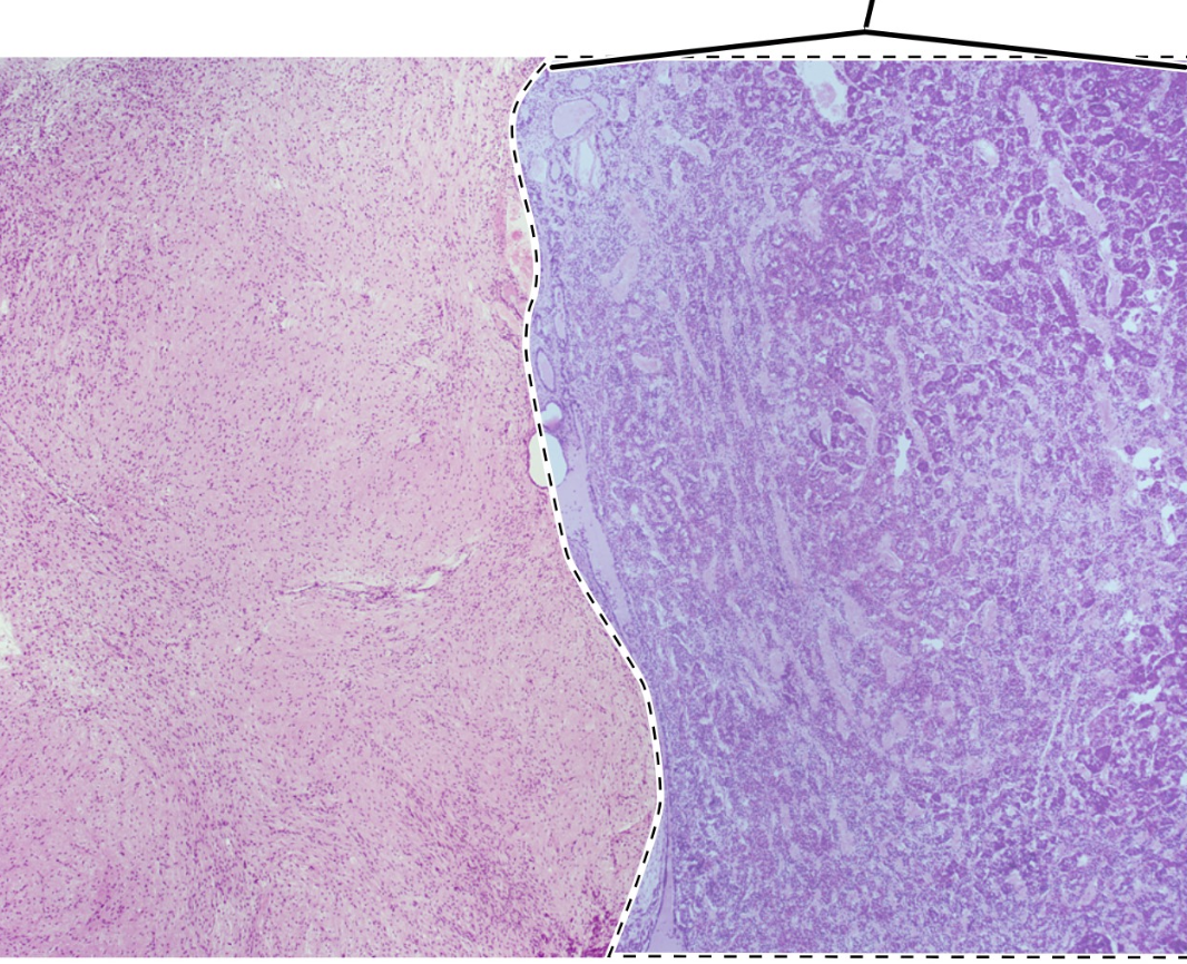 <p>ID highlighted area</p>