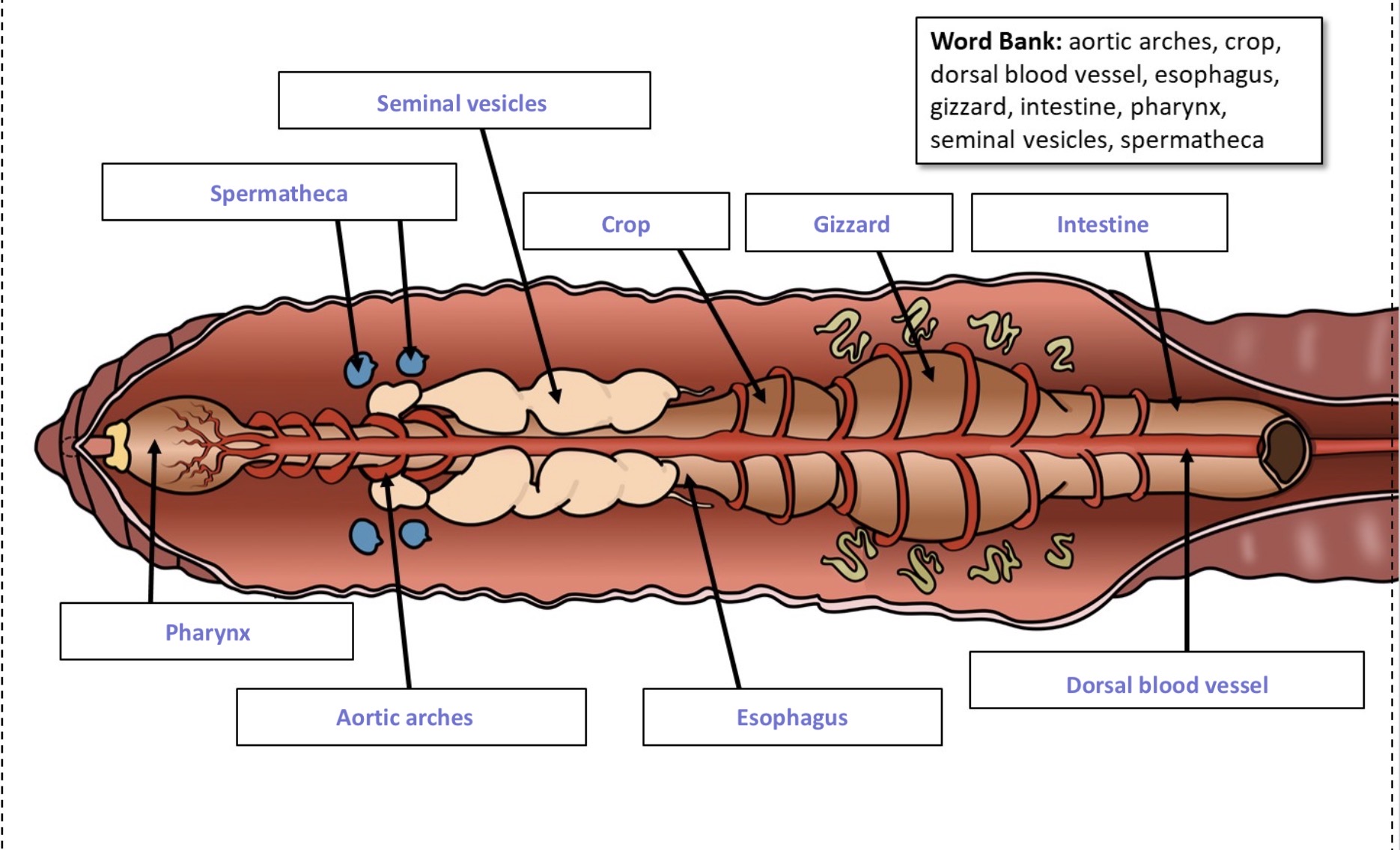 knowt flashcard image