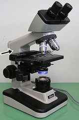 <p>What part of the microscope does the arrow indicate</p>