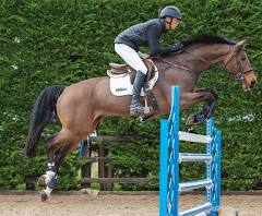 <p>a competitive sport in which horses jump over obstacles. The rider competed in ___ at the show.</p>