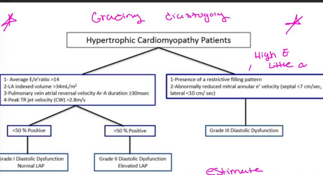 <p>Grade 1 diastolic dysfunction </p>
