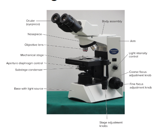 <p>- Examines both stained and unstained specimens by producing a dark image against a brighter background.</p><p>- Multiple objective lenses.</p>