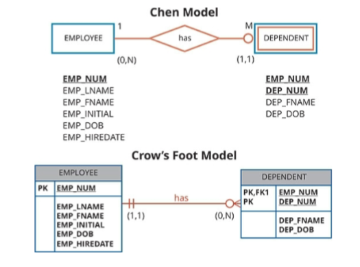 <ul><li><p>Entity is existence-dependent</p></li><li><p>Entity has a primary key that is partially or totally derived from parent entity in the relationship</p></li></ul><p>The database designer usually determines whether an entity can be described as weak based on business rules </p><p></p>