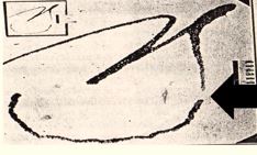 <p>An obvious gap between letters.</p><ul><li><p>Interuption in strokes produced withouht lifting the writing instrument. Possibily caused by speed in writing or by defective writing instrument</p></li><li><p>Pen Jump</p></li></ul><p></p>