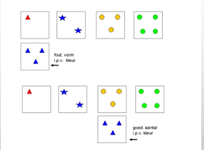 <p>Vooral problemen met cognitieve flexibiliteit (taak switchen)</p>