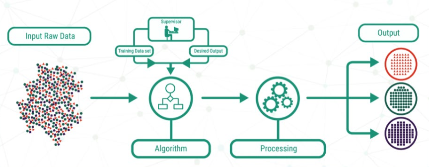 <ul><li><p>algoritmen geleerd van classificatiesysteem door mens gemaakt </p><ul><li><p>begeleiding gegeven: labels + vaste classificaties</p></li></ul></li><li><p>trainingsdata = data gebruikt model te trainen bij ontwikkelen ML algoritme</p></li><li><p>proces: </p></li></ul><ol><li><p>input → ruwe data</p></li><li><p>supervisor input → trainingsdata + gewenste uitkomst</p></li><li><p>algoritme → trainen met labels </p></li><li><p>algoritme → testen zonder labels</p></li><li><p>loslaten op andere data </p></li><li><p>output</p></li></ol><p></p>