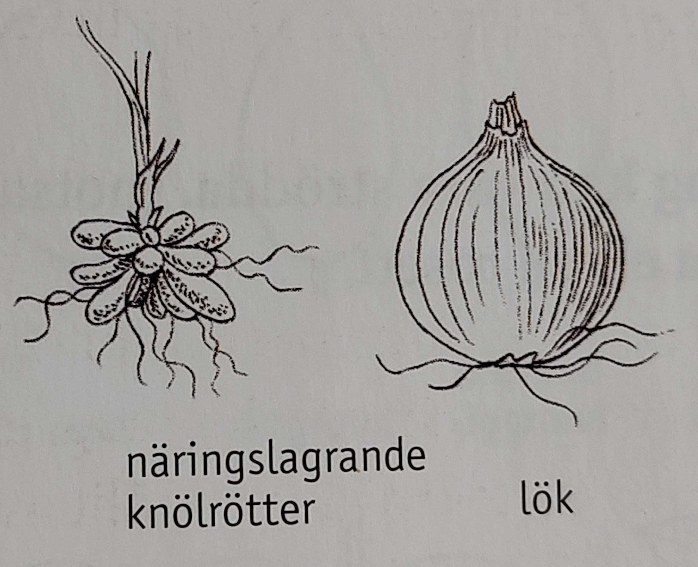 <p></p>
