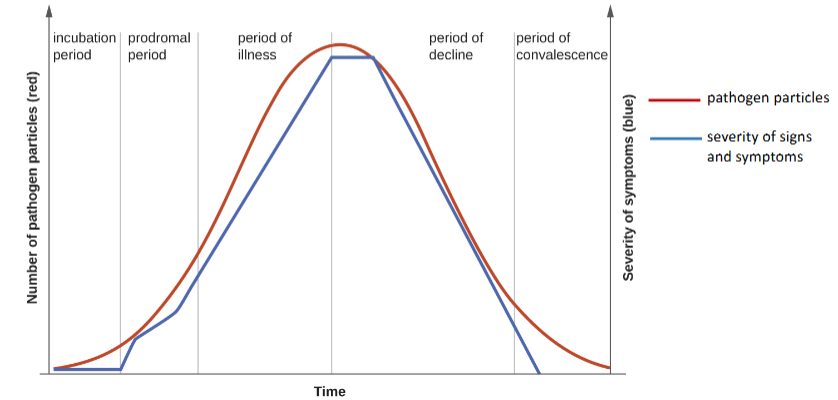 <ol><li><p>Incubation period: low pathogen #, very few symptoms</p></li><li><p>prodromal period: mid pathogen #s, average symptoms</p></li><li><p>Illness period: sick and getting sicker. Pathogen #s rise and symptoms worsen to a peak</p></li><li><p>Decline period: pathogen #s start to decline and symptoms lessen</p></li><li><p>convalescence period: symptoms stop quickly before the pathogen #s eventually do</p></li></ol><p></p>