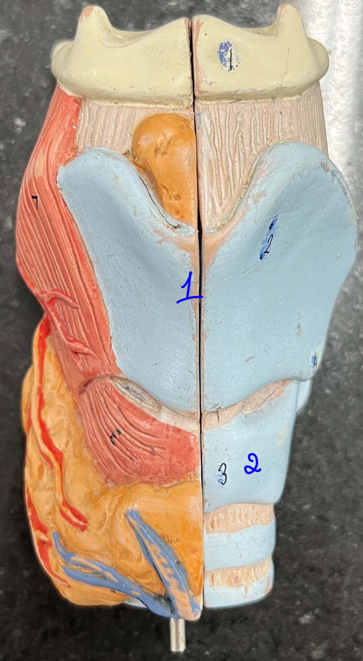 <p>1</p>