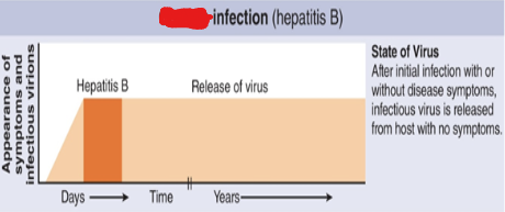<p>Continuous production of low levels of viral particles and virus can be transmitted in absence of symptoms</p>