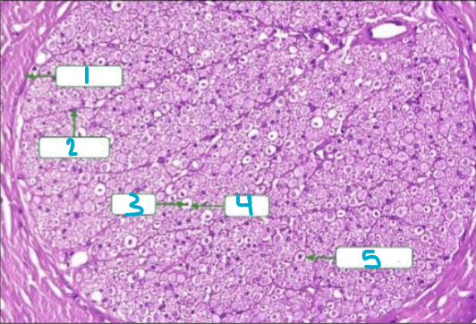 <p>Label this chart</p>