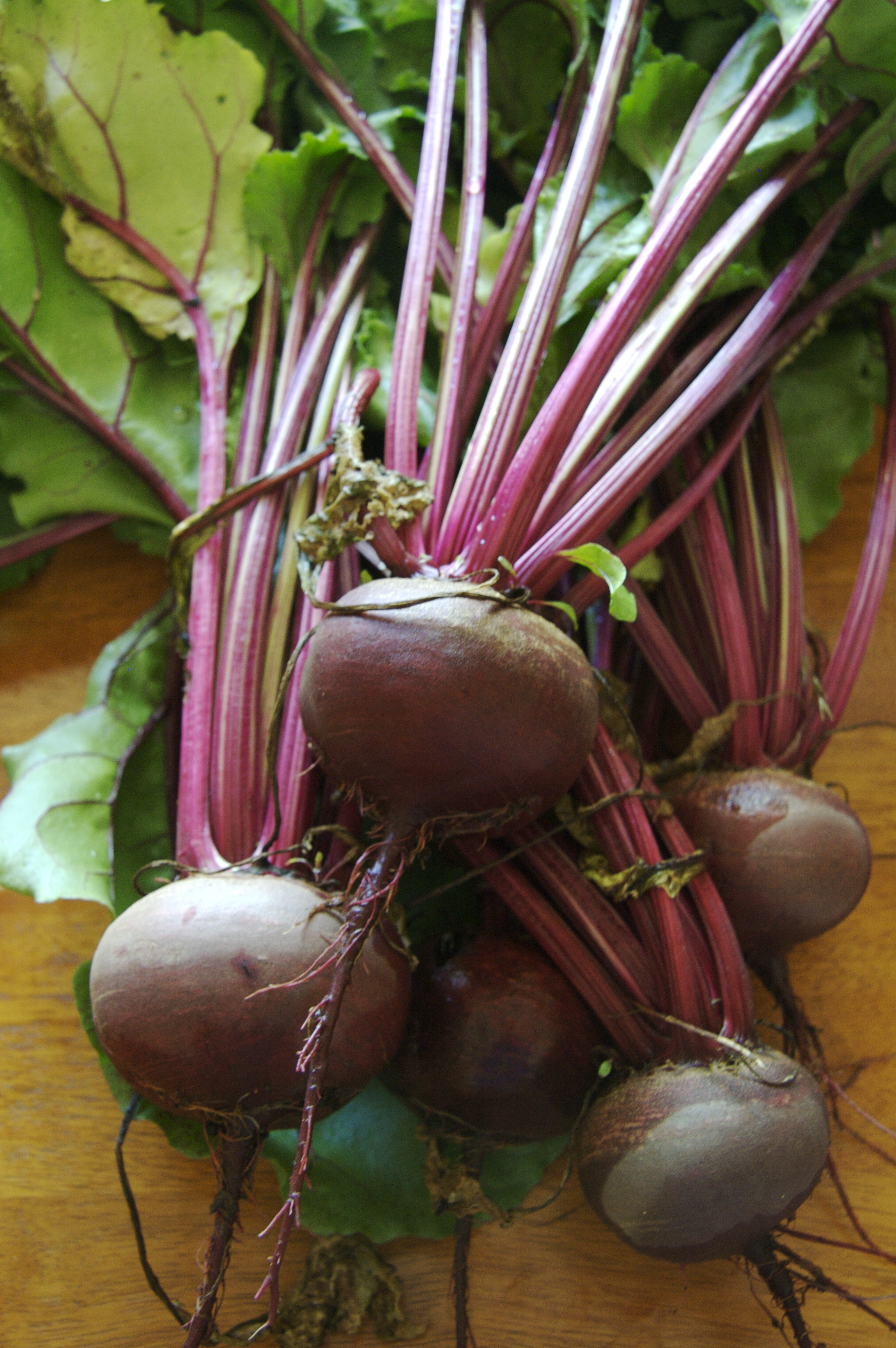 <p>beetroot</p>