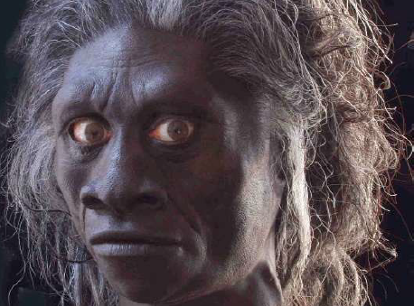 <ul><li><p>Nicknamed <strong>“the Hobbit”</strong> because of its very small stature (about <strong>3'6" tall</strong>).</p></li><li><p>Had a <strong>small brain and large teeth</strong>, but still <strong>made and used stone tools</strong>.</p></li><li><p>Lived on the Indonesian island of <strong>Flores</strong> and hunted animals such as small elephants and large rodents.</p></li><li><p><strong>May have used fire</strong> and survived until relatively recently in human evolutionary history.</p></li></ul><p></p>