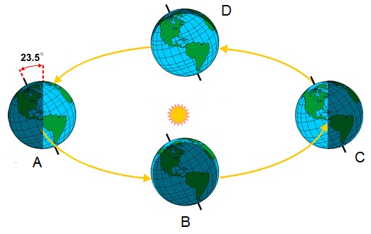 <p>Night Sky 5</p><p><span>What season would the northern hemisphere be experiencing when the Earth is at point C?</span></p>