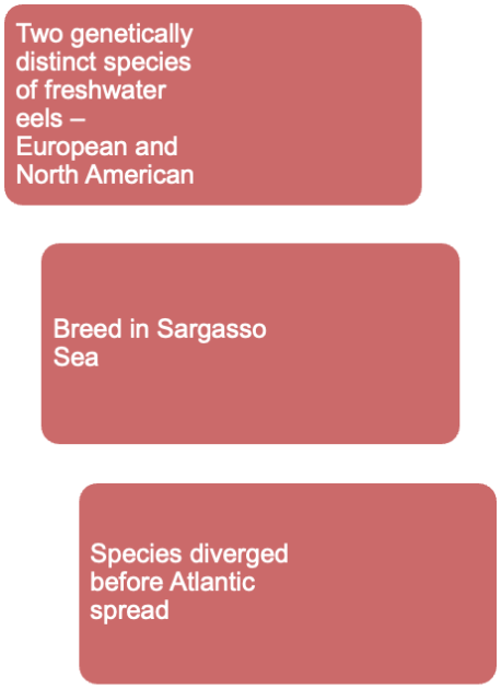 <p>Eels are _____. Opposite of anadromous. Spawn in ocean, spend most of their life in freshwater streams.</p><p></p>