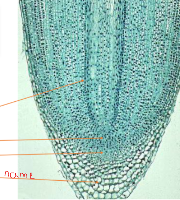 <p>What is this called?</p>