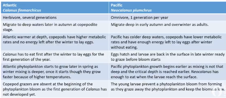 <p>The dominant copepod (grazer) species in the N Pacific (Neocalanus plumchrus) only has one generation per year while the dominant species in the N Atlantic (Calanus finmarchicus) has multiple generations per year. The N Pacific copepod migrates to deep waters in winter where it lays eggs that will hatch and develop by spring. These offspring do not have energy reserves so they travel to the surface and eat so many phytoplankton that they “graze away the bloom before it can happen”</p>