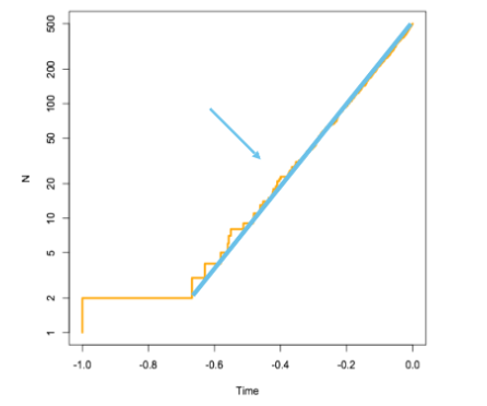 <p>the slope of the plot</p>