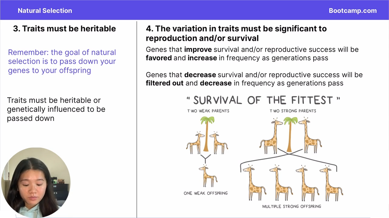 <p>Traits must be heritable or genetically influenced to be passed down </p>