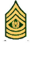 <p>What rank is this? </p>