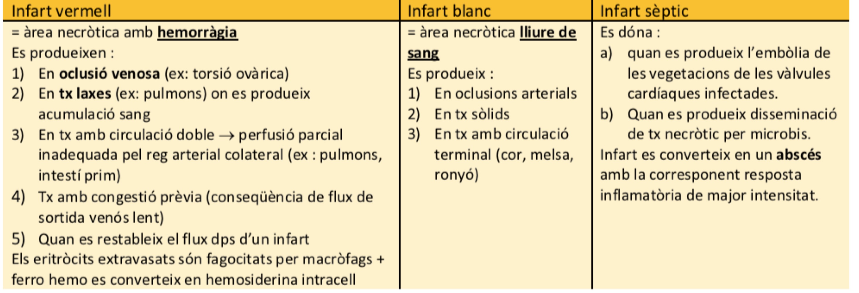 <p>INFARTO: Àrea de necrosi isquèmica causada per oclusió de la irrigació arterial (la majoria) o drenatge venós. 99% dels casos esdeuen a oclusió arterial d’origen trombòtic o embolic. L’infart es pot produir en qualsevol òrgan.</p><p>      - Gangrena: necrosi isquèmica de les extremitats.</p><ul><li><p>INFARTO ROJO: Zona necròtica amb sang. Es dona quan hi ha oclusió venosa i a teixits esponjosos on es pot acumular la sang. Es dona quan torna a haver-hi circulació en un òrgan necrosat.</p></li><li><p>INFARTO BLANCO: Zona necròtica lliure de sang. Es dona quan hi ha oclusió arterial a òrgan amb circulació arterial terminal (per exemple, cor mels o ronyó).</p></li></ul><p></p><p>FACTORES QUE CONDICIONAN EL DESARROLLO DE UN INFARTO </p><ul><li><p>Naturaleza de l’aportación vascular, presència d’irrigació alternativa, en cas d’oclusió d’un vas, disminueix la probabilitat d’infart. Exemples: pulmons, fetge</p></li><li><p>Velocitat de la oclusió: oclusions de desenvolupament lent tenen menys probabilitat d’infart ja que donen temps per la creació de vies d’irrigació colaterals.</p></li><li><p>Vulnerabilitat del teixit a hipòxia: hi ha cèl·lules molt resistents a hipòxia (per exemple, cèl·lules cardíaques) o molt sensibles a manca d’oxigen (neurones)</p></li><li><p>Contingut d’oxigen en sang: La obstrucció parcial d’un vas petit pot no tenir conseqüències en un individu sa però pot causar un infart en una persona que pateix anèmia o cianosi. És a dir, com més elevat sigui la concentració d’oxigen en sang, menor serà la probabilitat de patir un infart.</p></li></ul><p></p>