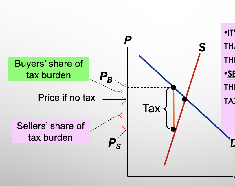 <p>What happens when demand is more elastic than supply?</p>