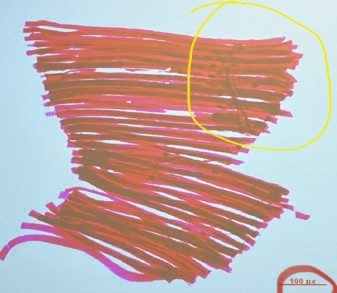 <p>What is the name, location and function of this</p>